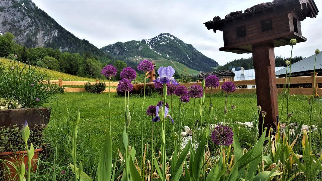 Apartamento 4 Bergpanorama Mit Herrlicher Alpinen Almlandschaft Fuer Absolute Nichtraucher Schönau am Königssee Exterior foto