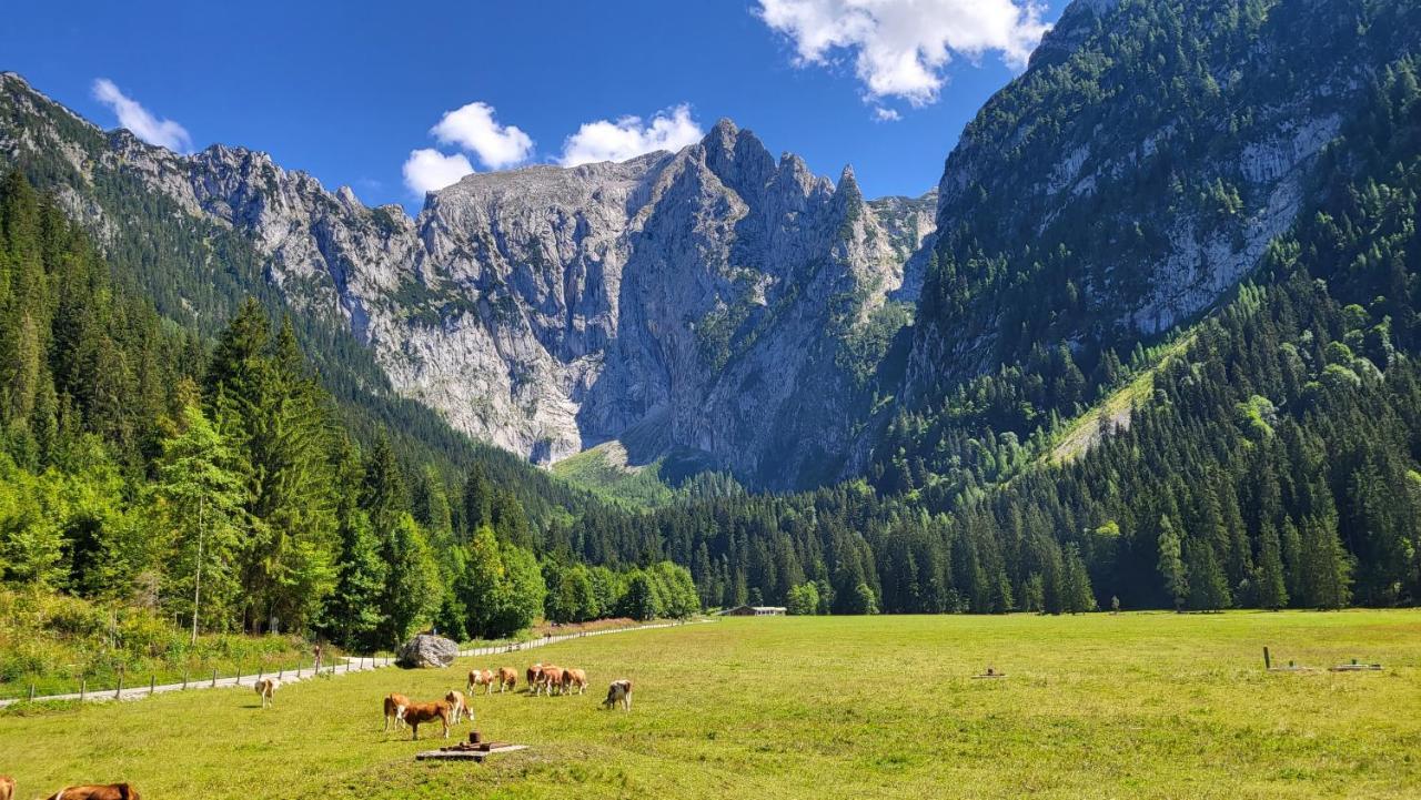 Apartamento 4 Bergpanorama Mit Herrlicher Alpinen Almlandschaft Fuer Absolute Nichtraucher Schönau am Königssee Exterior foto